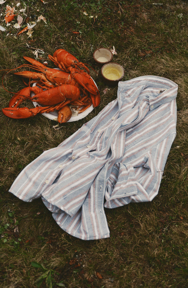 editorial image of The Jack in Daybreak Stripe Oxford next to a lobster