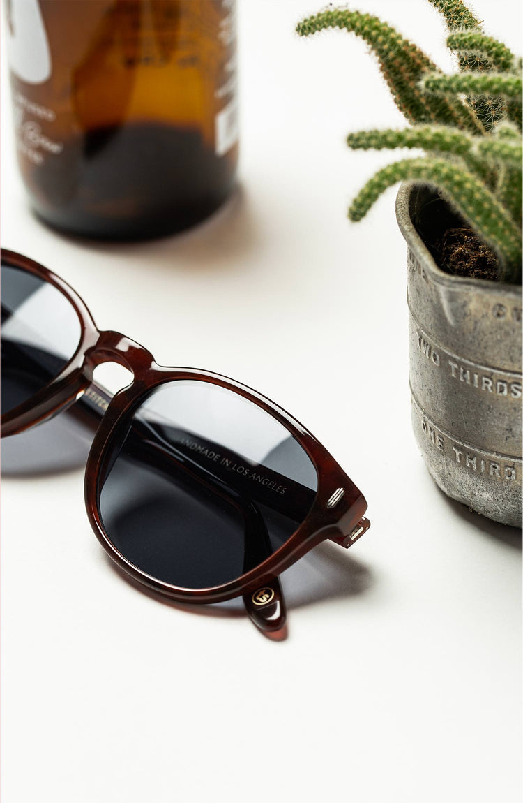 The Nelson in Vintage Tortoise Editorial Panel 2