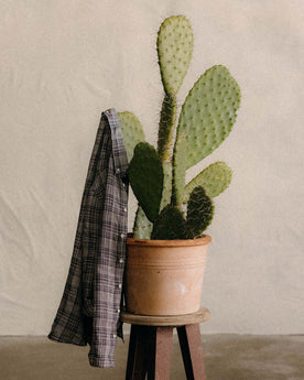 editorial image of The Jack in Navy Plaid Linen hanging on a cactus, Wovens by Taylor Stitch