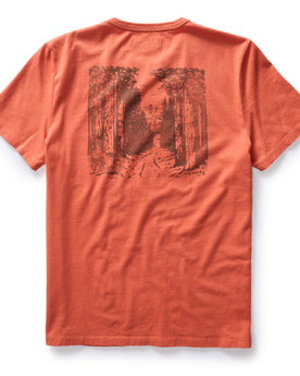 flatlay of the back of The Organic Cotton Tee in Coastal Trail, Knits by Taylor Stitch