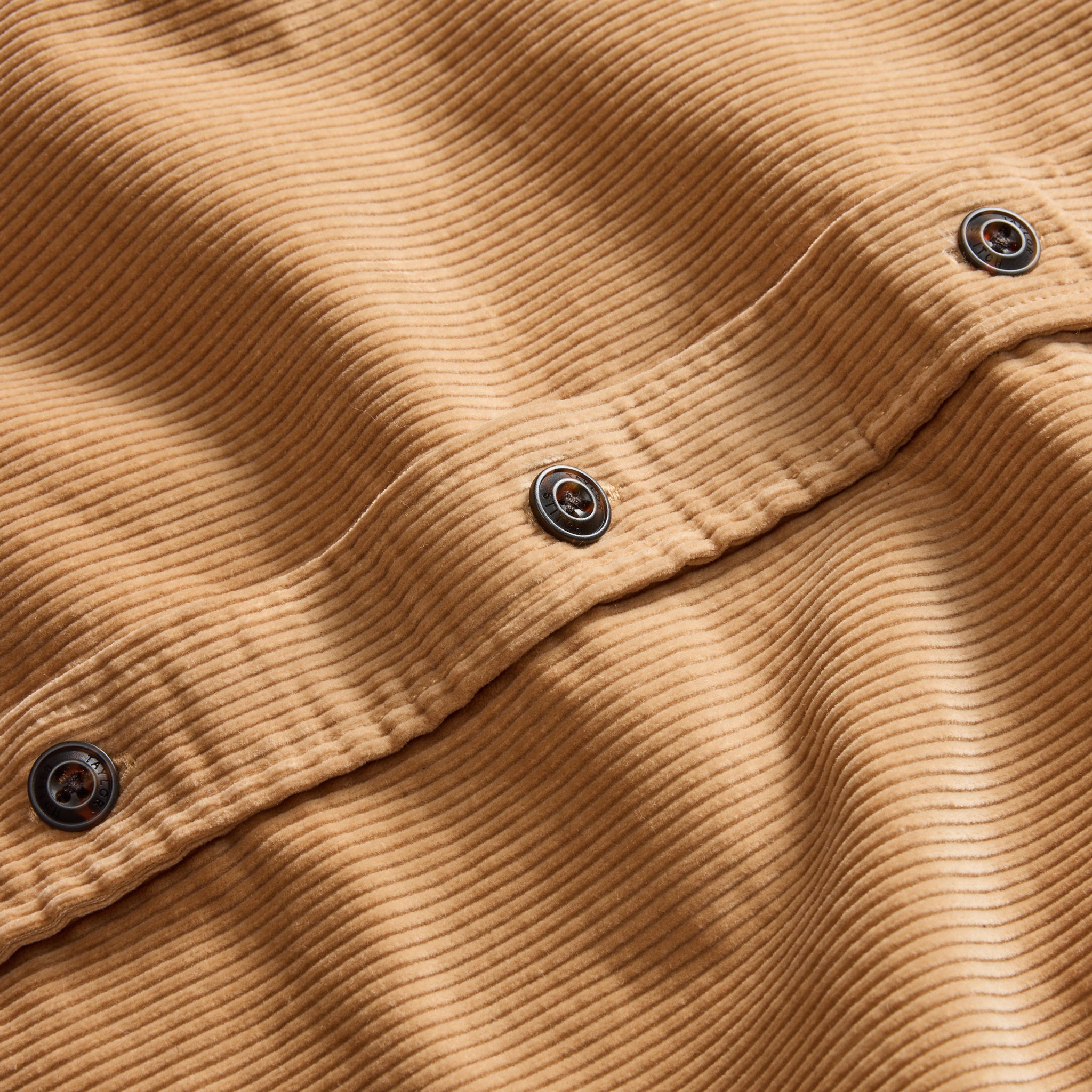 material shot of the dark horn buttons on The Connor Shirt in Camel Cord, Wovens by Taylor Stitch