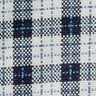 Indigo Micro Check