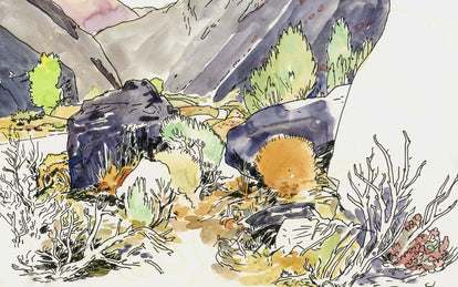 Illustrated desert flora.