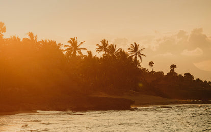 A sepi-toned silhouette of a palm-fringed beach scene.