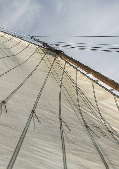 Looking up a wooden mast with mainsail flying.
