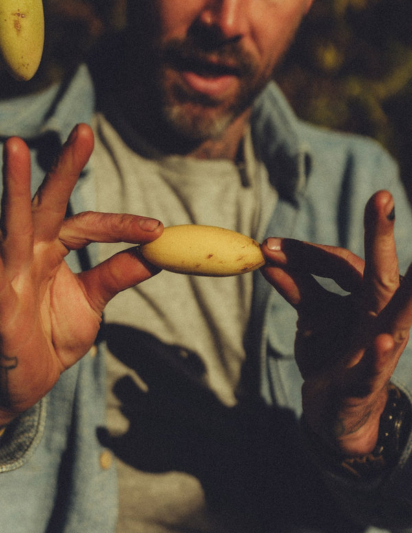 Scott Clark showing a freshly picked fruit