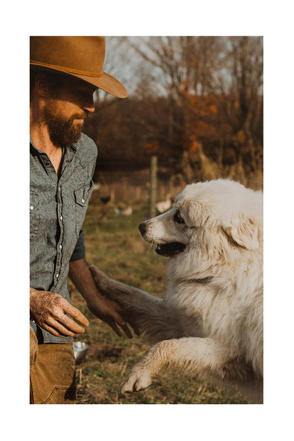 Josh portrait: milking goat.