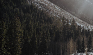 
TS Winter Style Guide