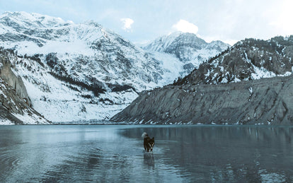 An icy mountain lake.