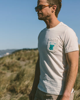 The Heavy Bag Tee in Agua Print: Alternate Image 1, Knits by Taylor Stitch