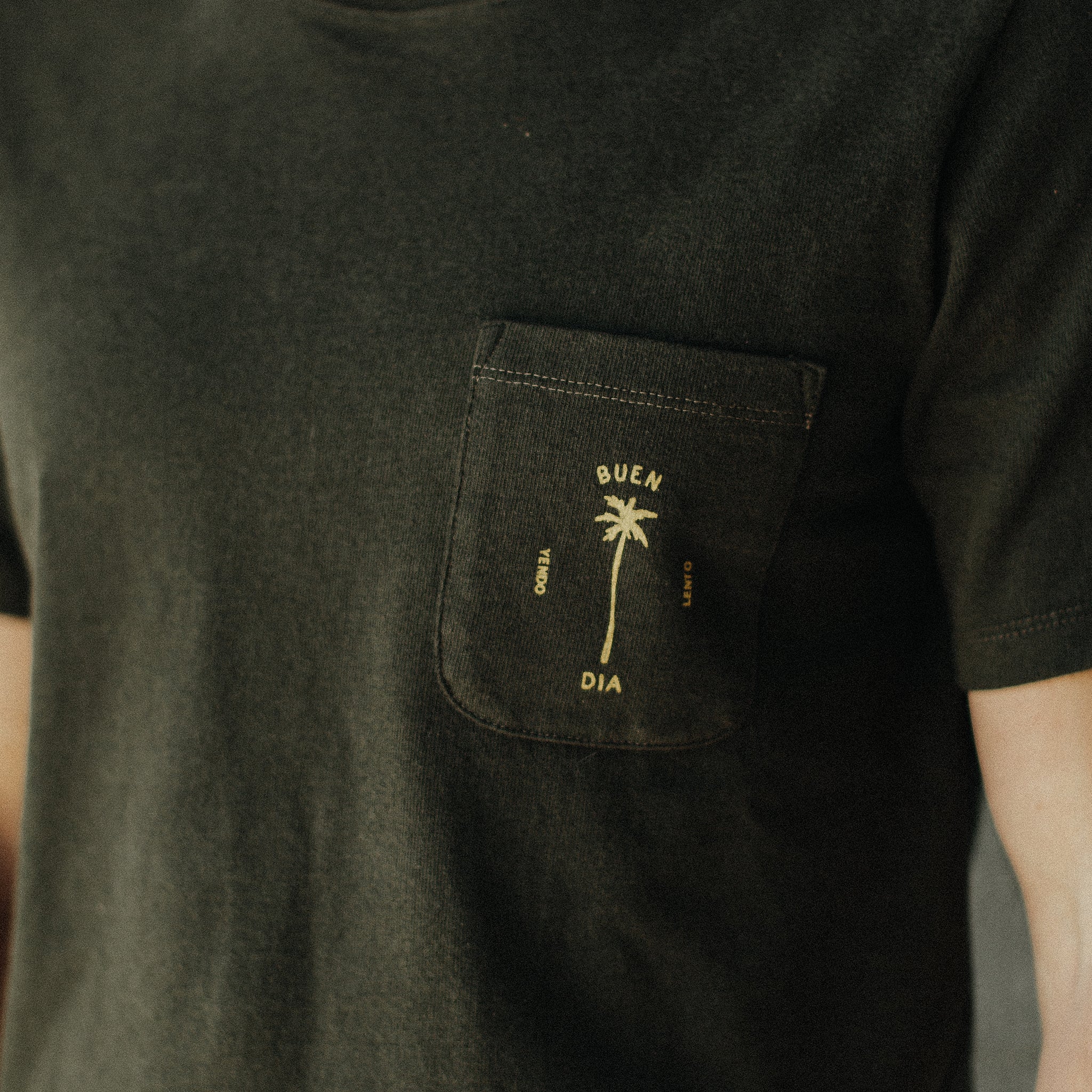 The Heavy Bag Tee in Buen Dia: Alternate Image 2, Knits by Taylor Stitch