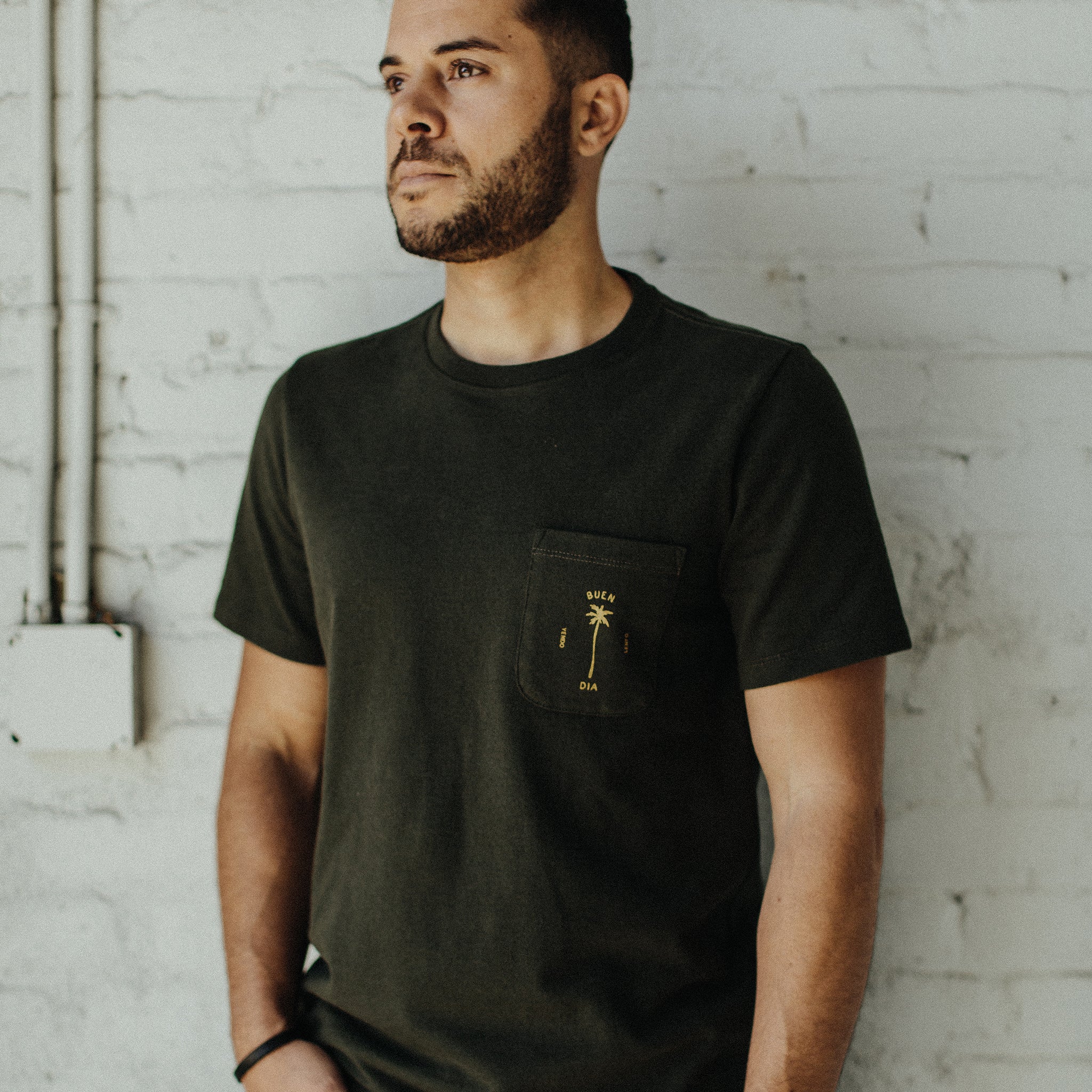 The Heavy Bag Tee in Buen Dia: Alternate Image 1, Knits by Taylor Stitch