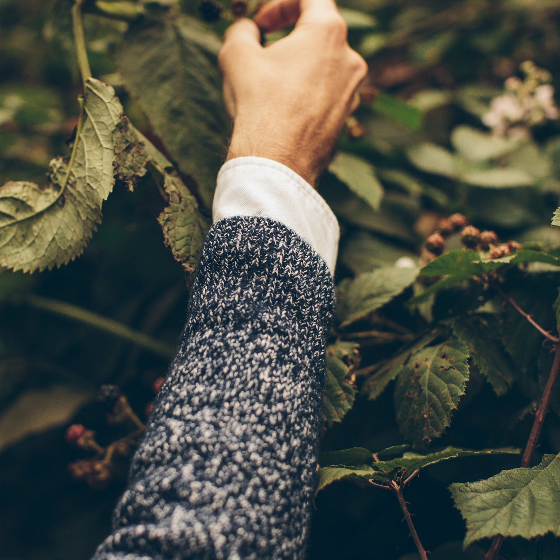 The Summit Sweater in Navy: Alternate Image 4, Knits by Taylor Stitch