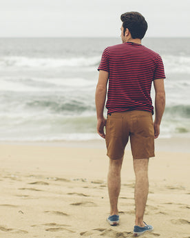 Camel Duck Canvas Camp Shorts: Alternate Image 4, Shorts by Taylor Stitch