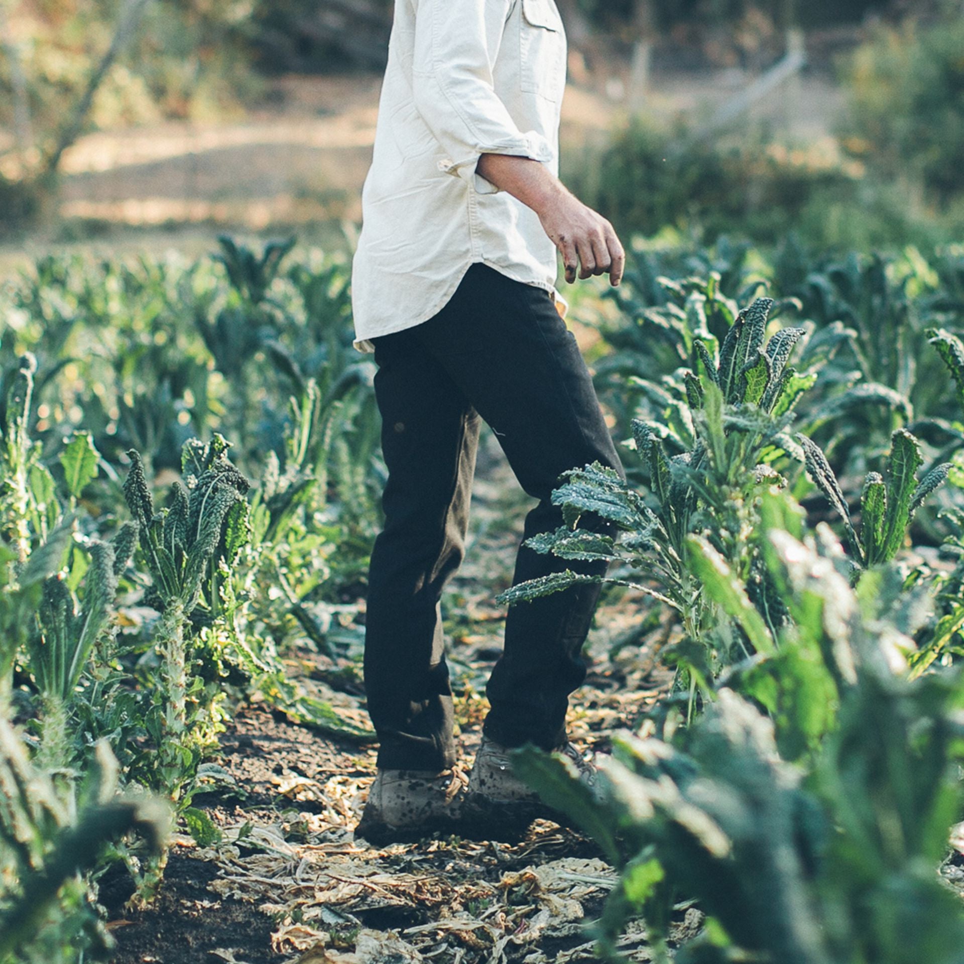 The Chore Pant in Coal: Alternate Image 1, Pants by Taylor Stitch