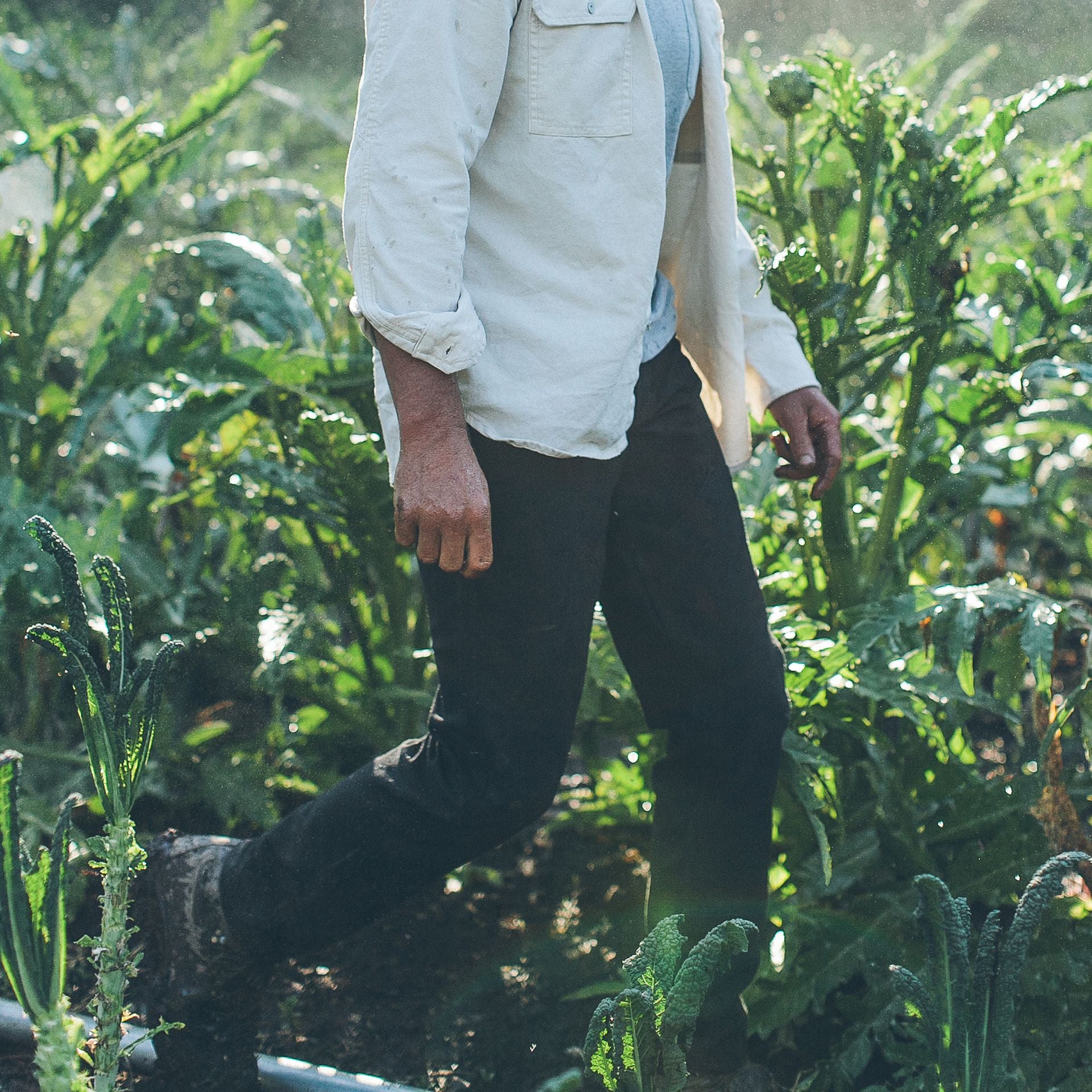 The Chore Pant in Coal: Alternate Image 5, Pants by Taylor Stitch