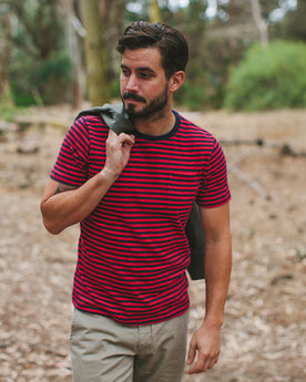 The Sequoia Stripe Tee in Navy & Red, Knits by Taylor Stitch