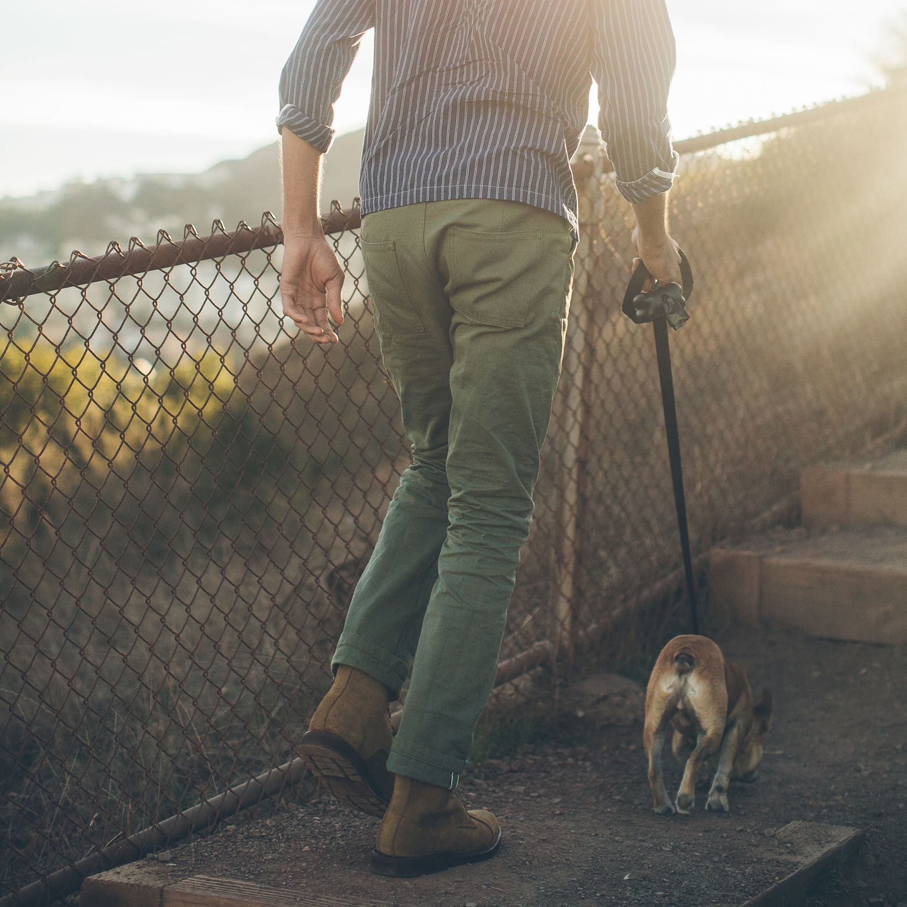 The Camp Pant in Olive Drab Selvage: Alternate Image 3, Pants by Taylor Stitch