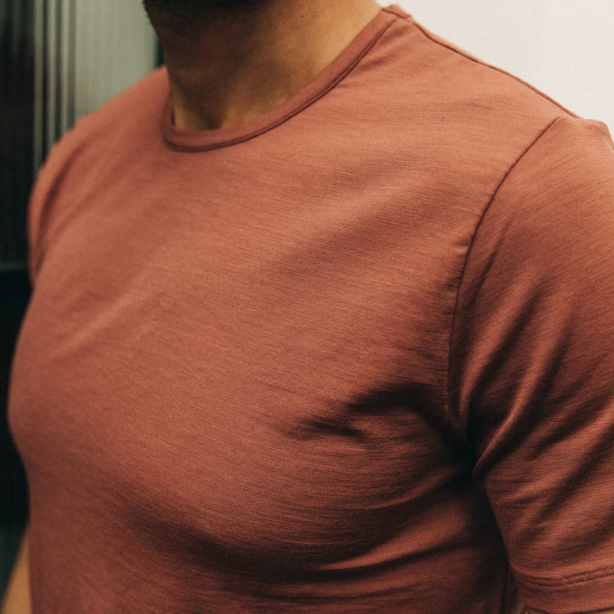The Merino Tee in Brick Red: Alternate Image 2, Knits by Taylor Stitch