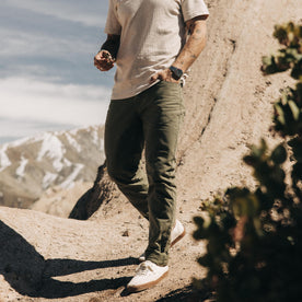 The Slim All Day Pant in Arid Eucalyptus Canvas - featured image