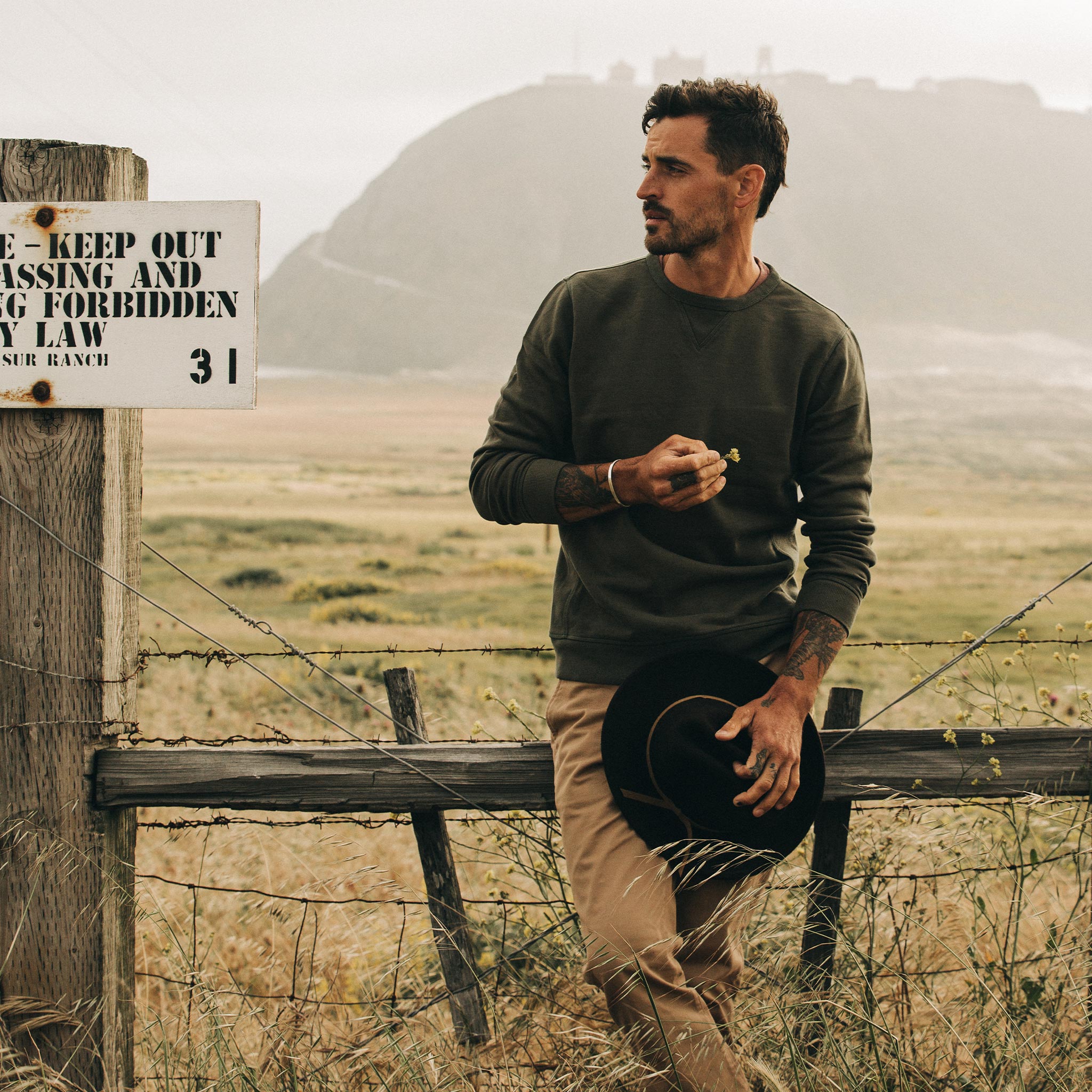 The Fillmore Crewneck in Dark Olive Terry: Alternate Image 1, Knits by Taylor Stitch