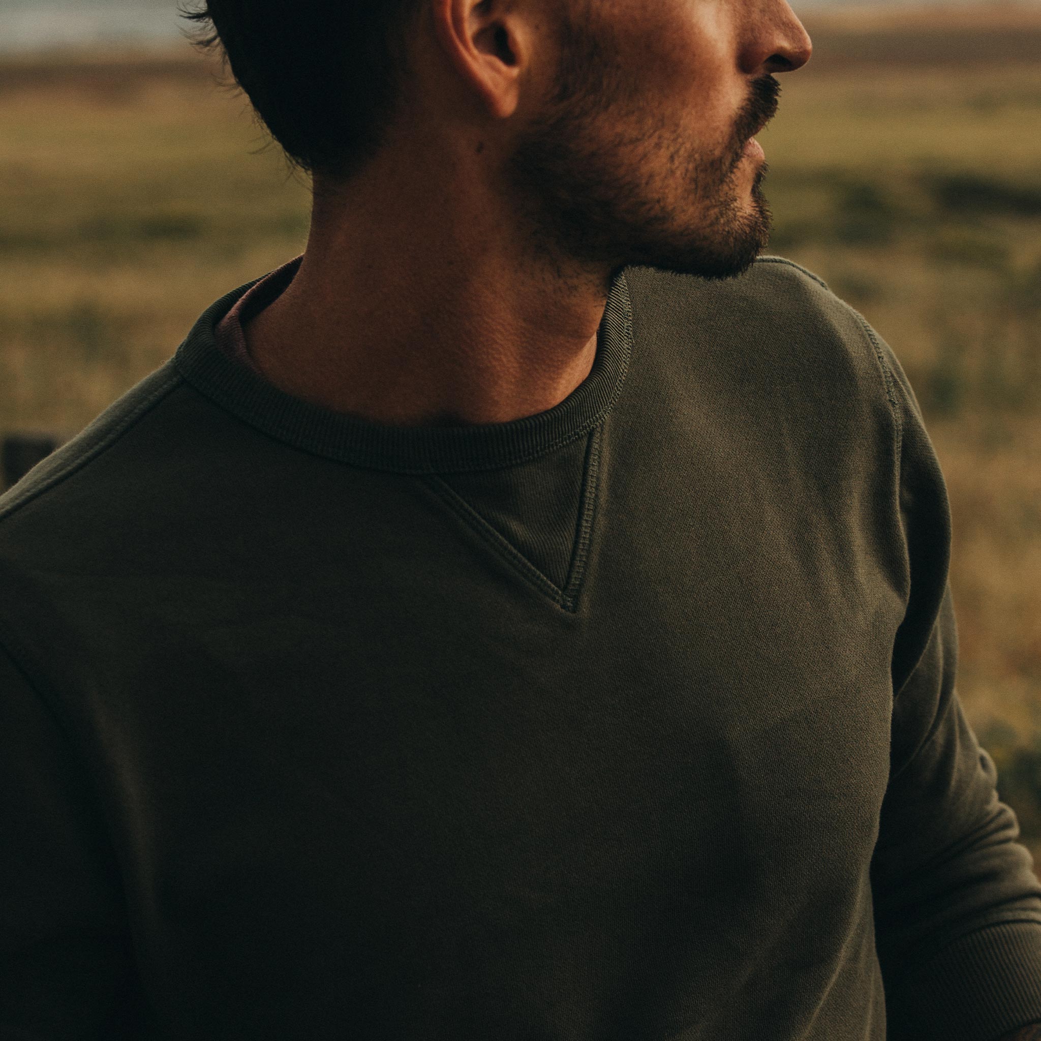 The Fillmore Crewneck in Dark Olive Terry: Alternate Image 2, Knits by Taylor Stitch