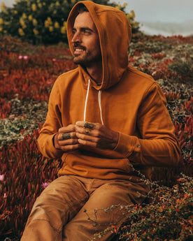 The Fillmore Hoodie in Saffron Terry: Alternate Image 2, Knits by Taylor Stitch