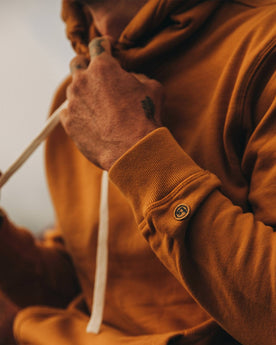 The Fillmore Hoodie in Saffron Terry: Alternate Image 3, Knits by Taylor Stitch