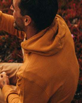 The Fillmore Hoodie in Saffron Terry: Alternate Image 4, Knits by Taylor Stitch