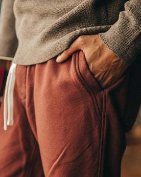 The Fillmore Pant in Burgundy Terry: Alternate Image 2, Bottoms by Taylor Stitch