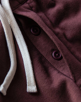 The Fillmore Pant in Burgundy Terry: Alternate Image 4, Bottoms by Taylor Stitch