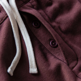 The Fillmore Pant in Burgundy Terry: Alternate Image 4