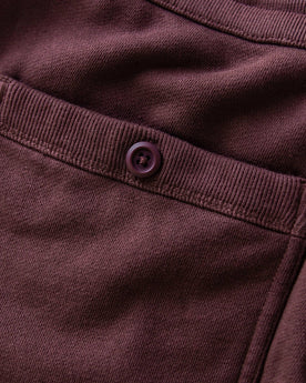 The Fillmore Pant in Burgundy Terry: Alternate Image 5, Bottoms by Taylor Stitch