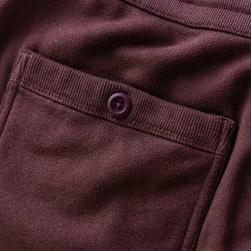 The Fillmore Pant in Burgundy Terry: Alternate Image 5