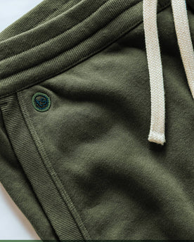 The Fillmore Pant in Dark Olive Terry: Alternate Image 5, Bottoms by Taylor Stitch