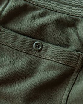The Fillmore Pant in Dark Olive Terry: Alternate Image 7, Bottoms by Taylor Stitch