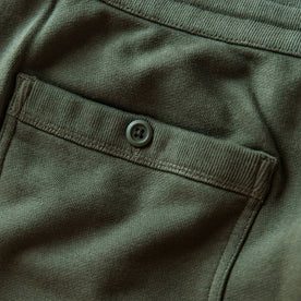 The Fillmore Pant in Dark Olive Terry: Alternate Image 7
