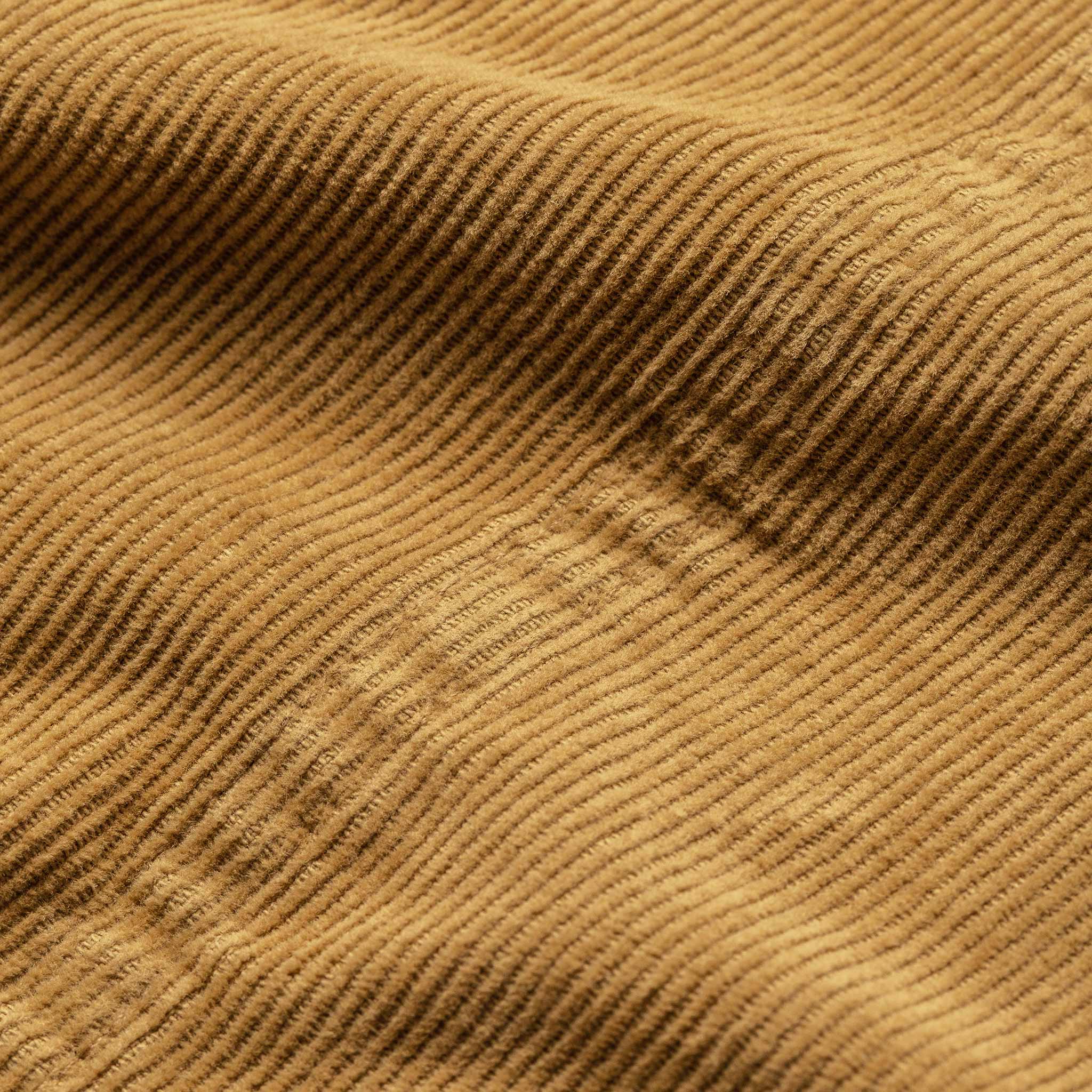 material shot, Shorts by Taylor Stitch