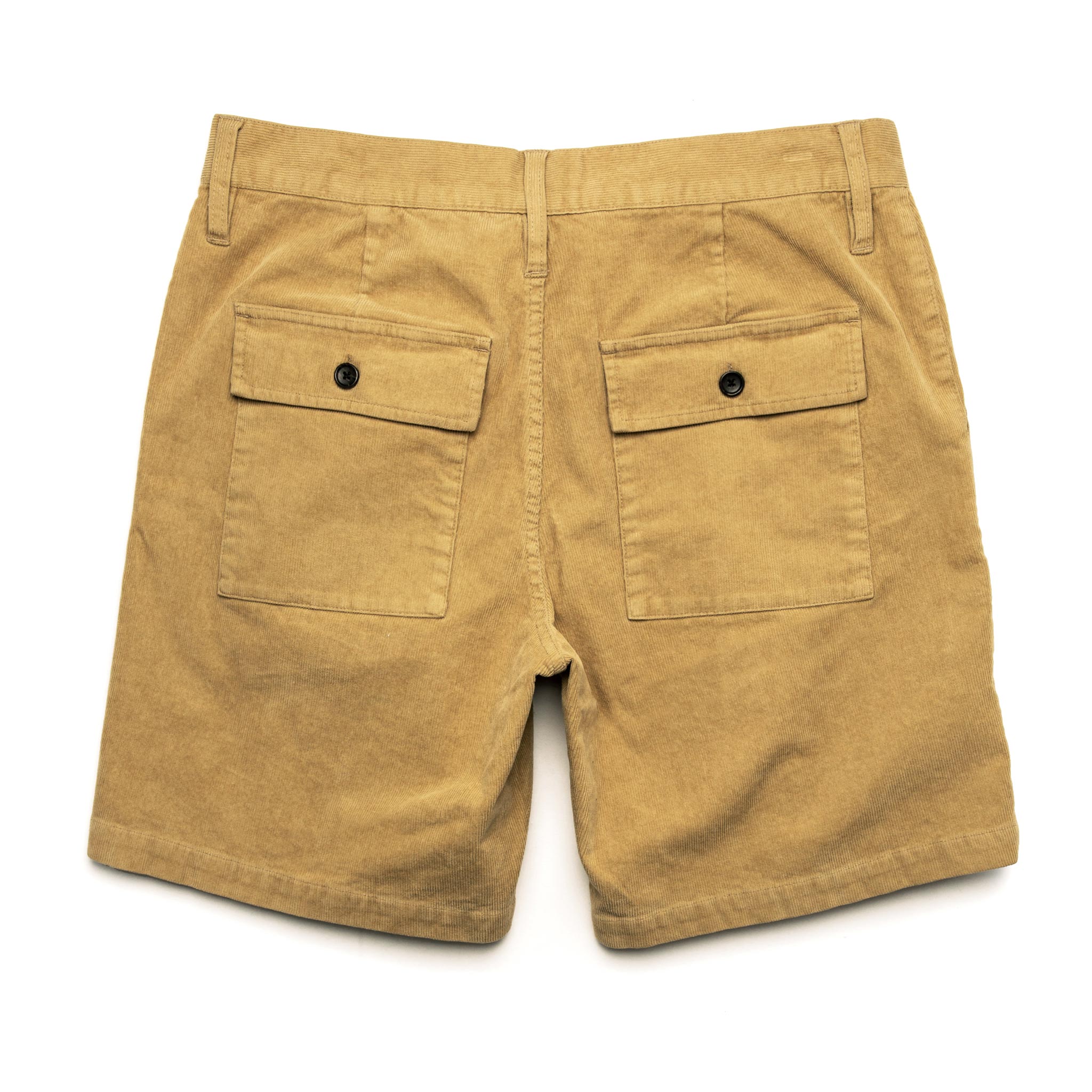 The Trail Short in Khaki Cord: Alternate Image 8, Shorts by Taylor Stitch