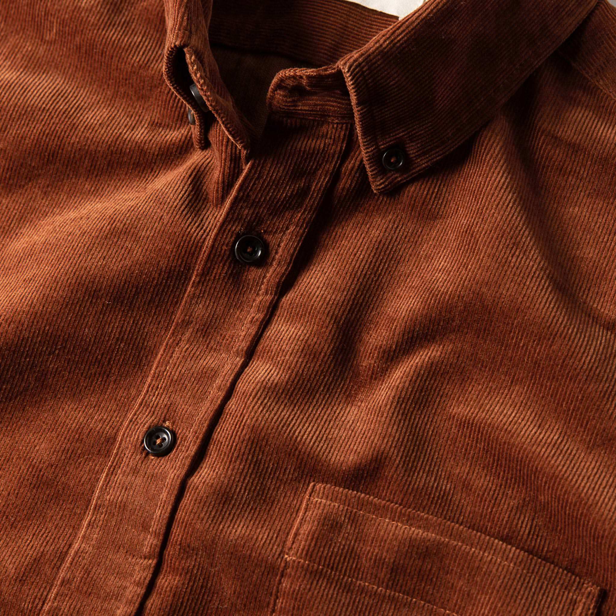 material shot of collar, Wovens by Taylor Stitch