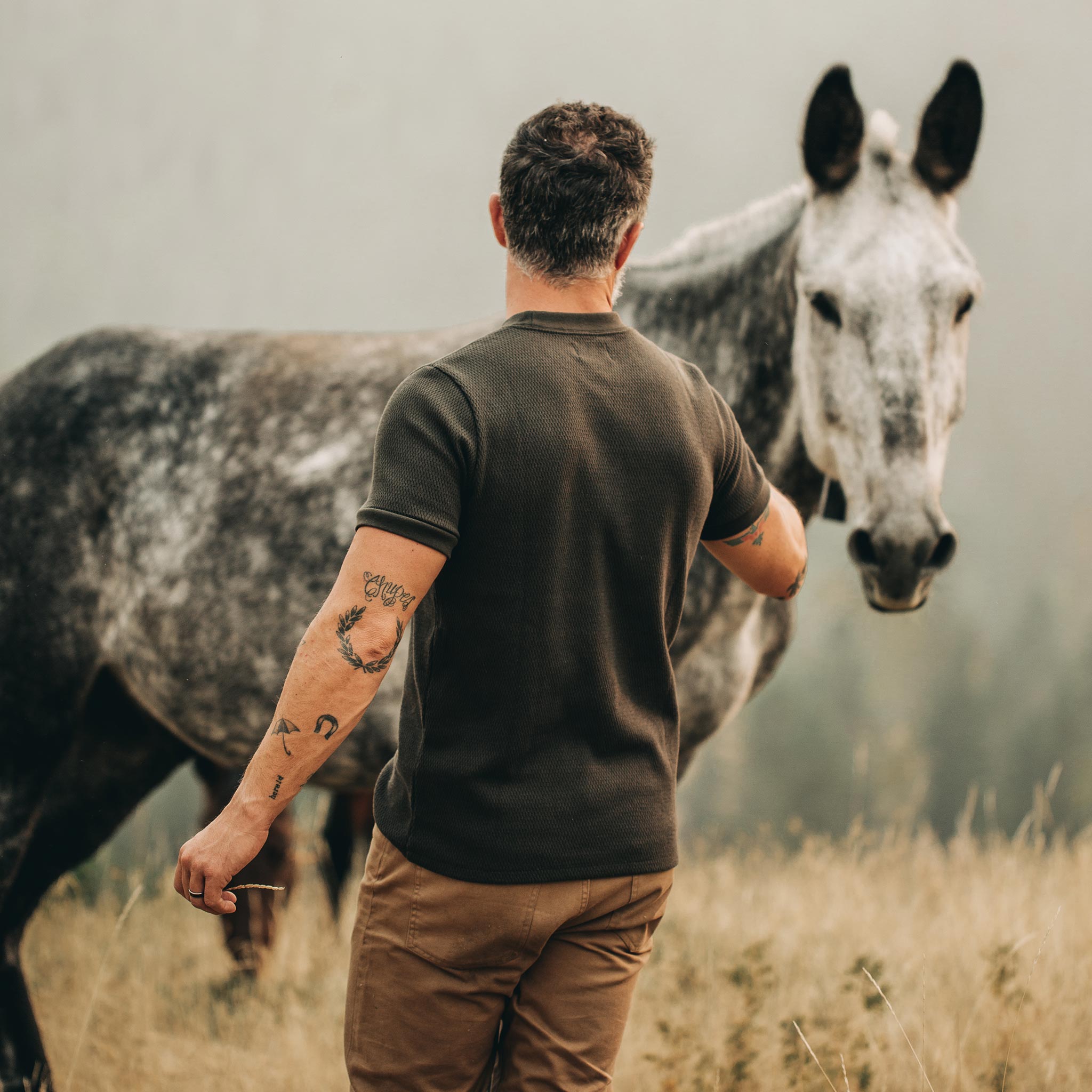 The Heavy Bag Waffle Short Sleeve in Olive—walking toward horse, Knits by Taylor Stitch