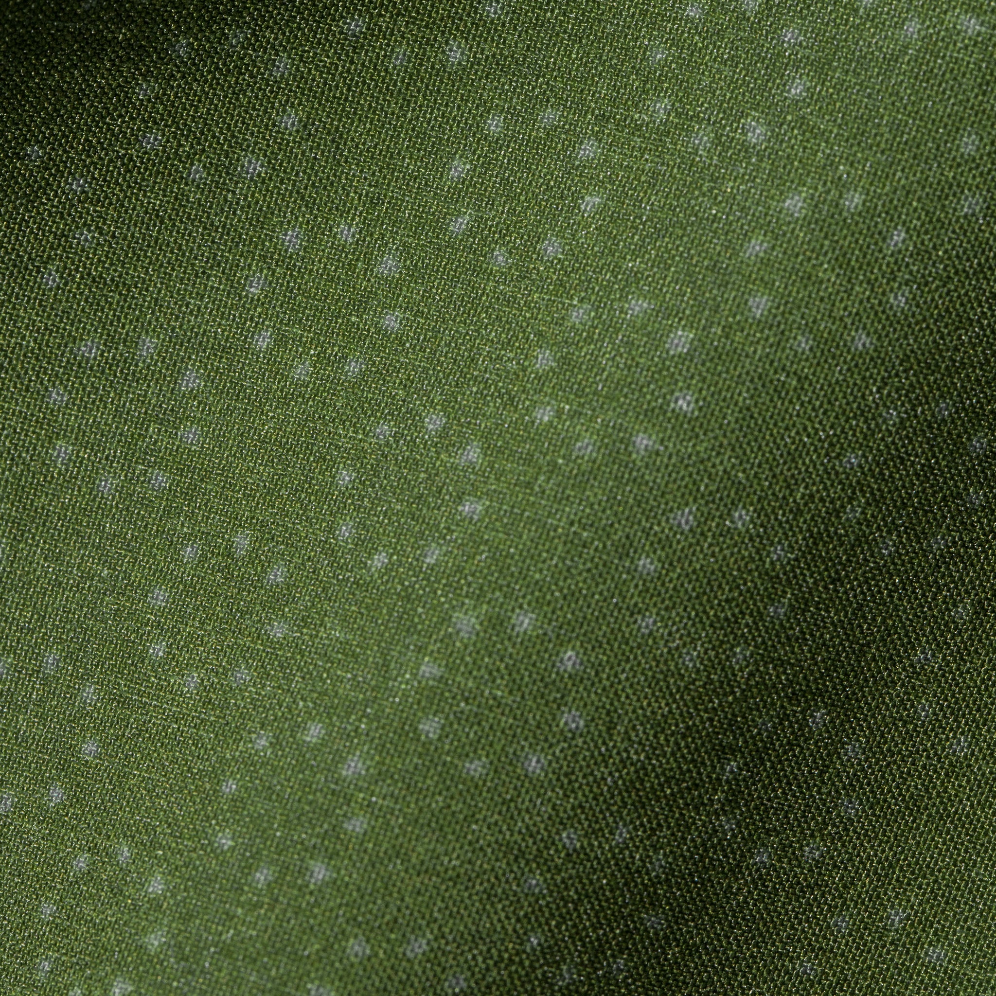 The Yuba Trunk in Olive Print: Alternate Image 6, Shorts by Taylor Stitch