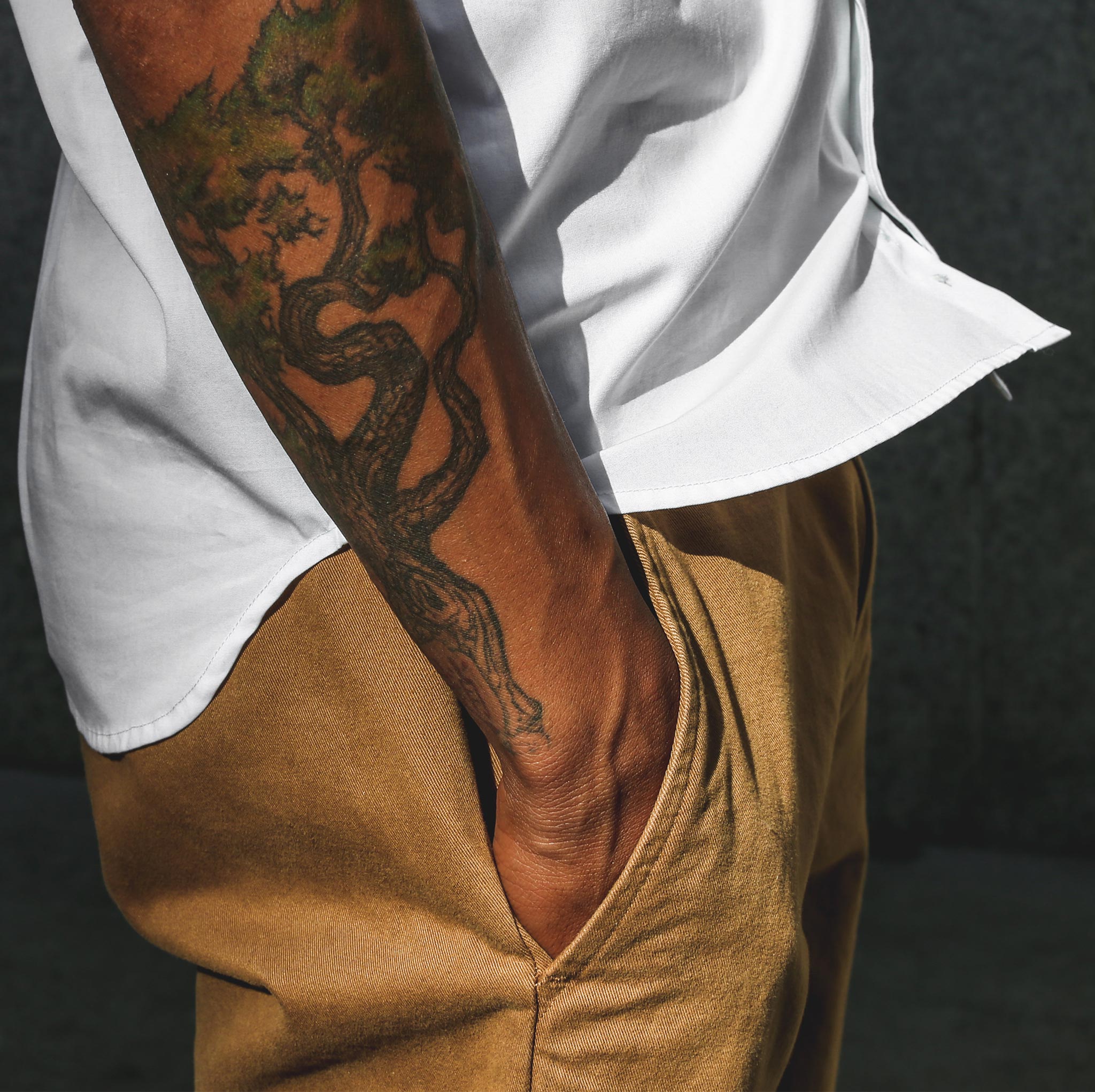 The Travel Short in British Khaki: Alternate Image 3, Shorts by Taylor Stitch