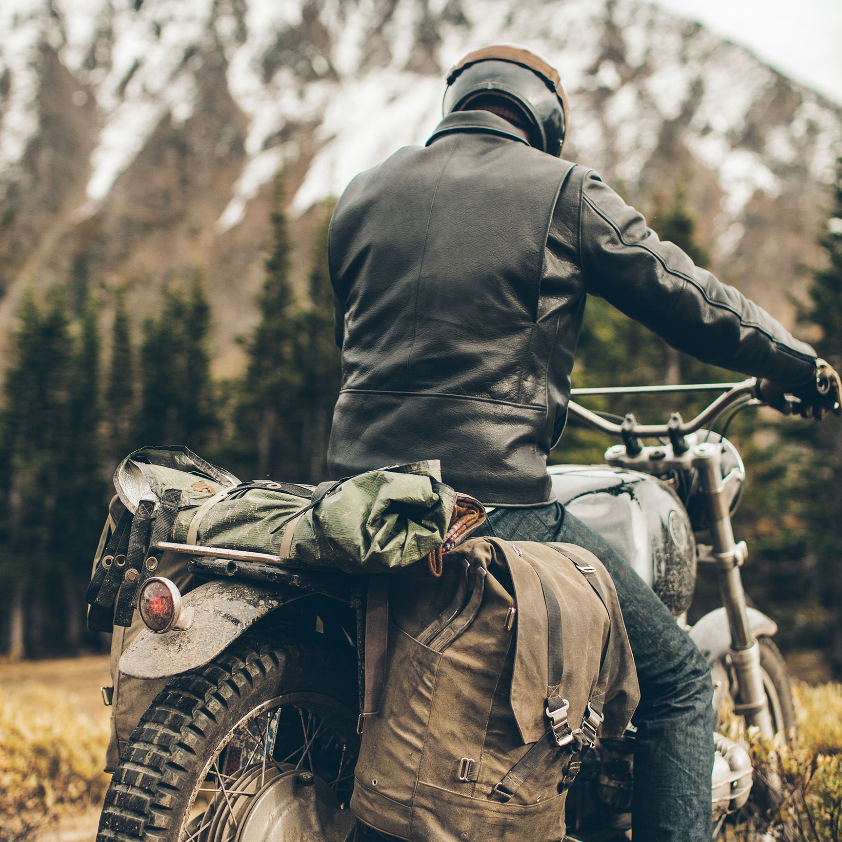 The Moto Jacket in Black: Alternate Image 3, Outerwear by Taylor Stitch
