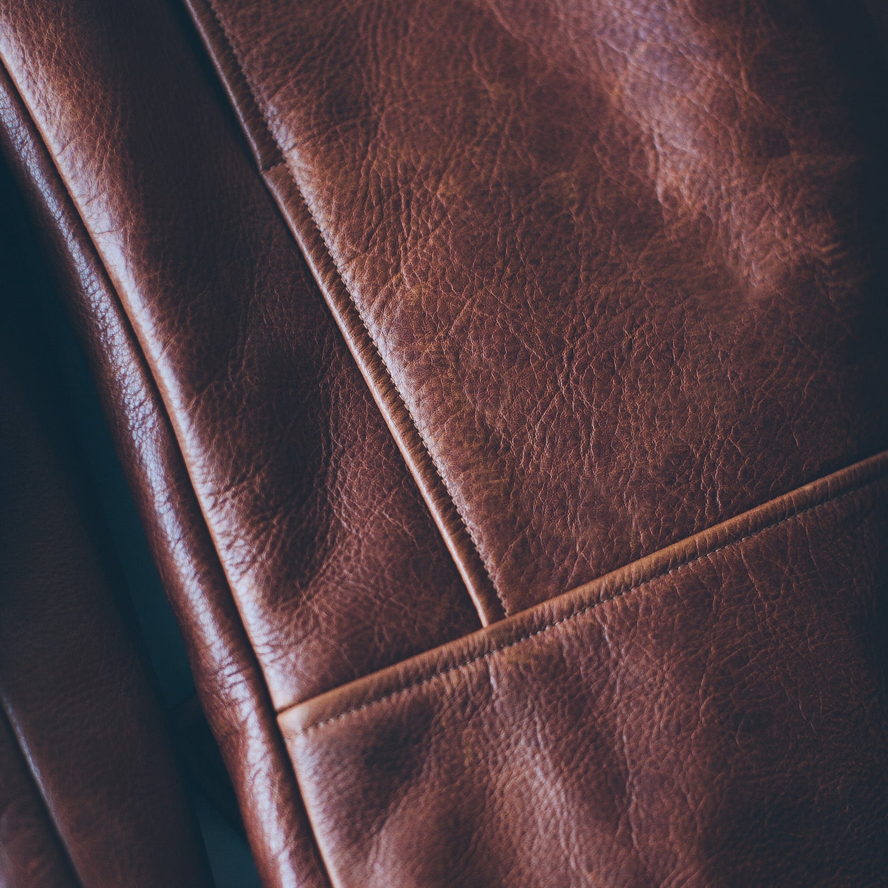 The Moto Jacket in Whiskey: Alternate Image 11, Outerwear by Taylor Stitch